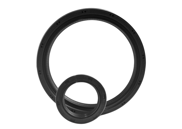 Oil Seals